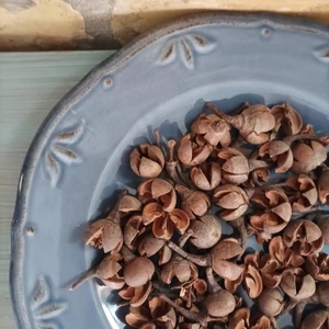 Chiruni natúr termés