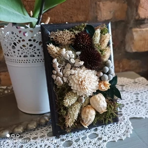 Természetes,bogyós növények régi képkeretben, VI.