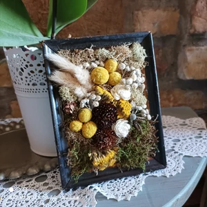 Természetes, bogyós növények régi képkeretben, IV.