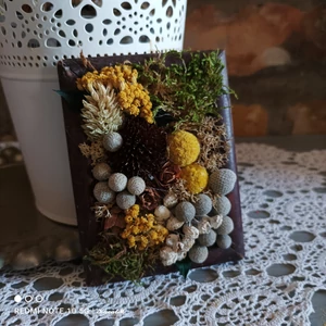 Természetes, bogyós növények régi képkeretben, I.