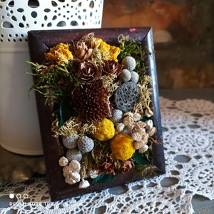 Természetes, bogyós növények régi képkeretben, III