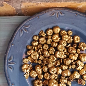 Arany színű, apró tök termés