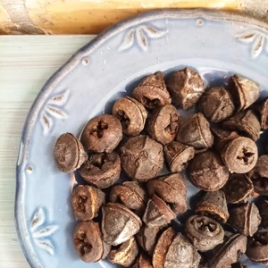 Eukalyptus natúr termés