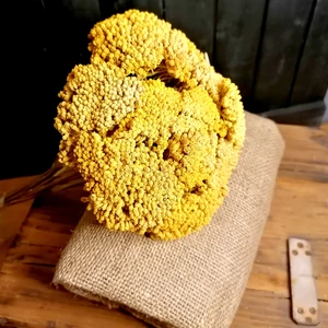 Sárga cickafark csokor