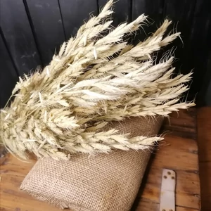 Natúr, szárított kalászos csokor