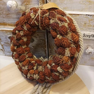 Natúr, barackmag kopogtató