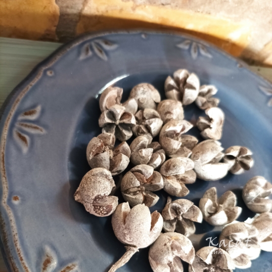 Fehérre festett chiruni termés