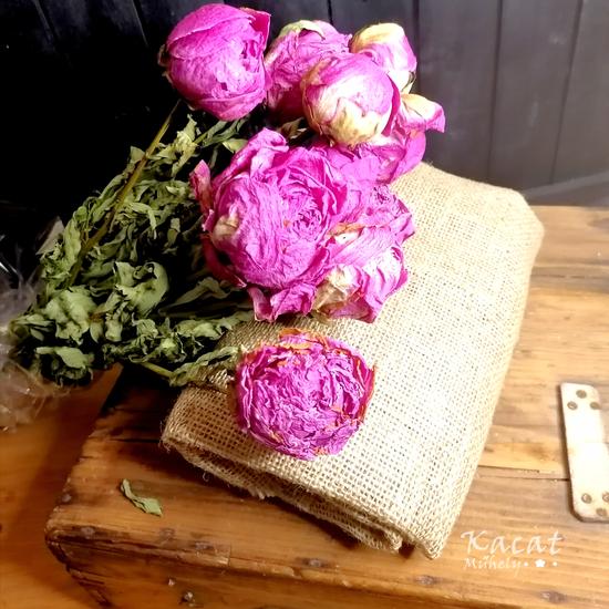ÚJDONSÁG!!!!!Pink Babarózsa szárítva
