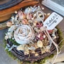 Kép 1/3 - Porcelán boglárka asztaldísz, porcelán tányéron, natúr színekben - Kacat Műhely 
